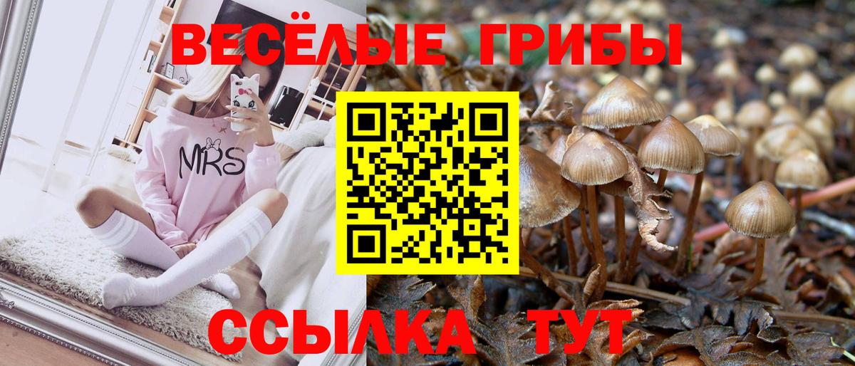 Псилоцибиновые грибы Cubensis  купить наркоту  Сердобск  Вход с VPN  Псилоцибиновые грибы прущие грибы 
